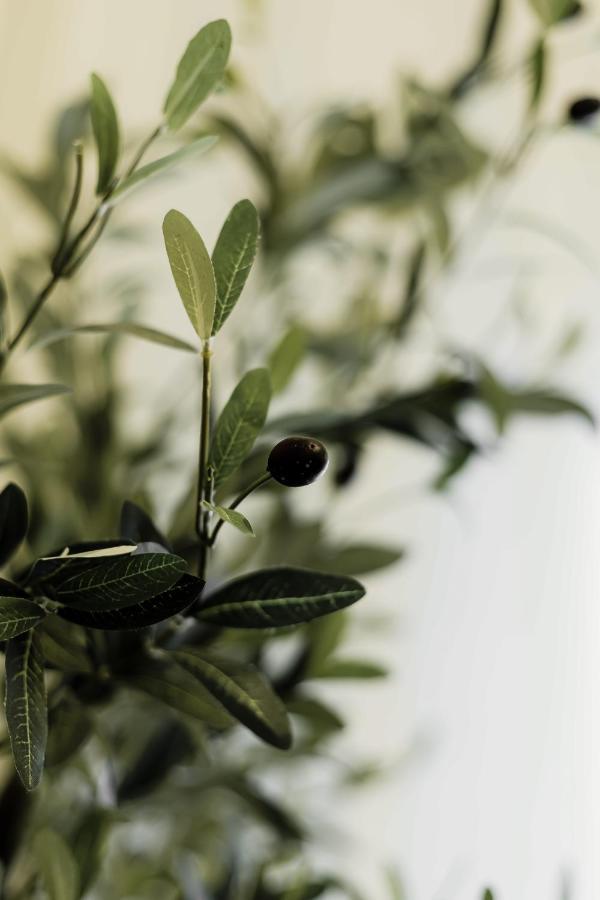 Olive Koukaki Apartment Athens Luaran gambar
